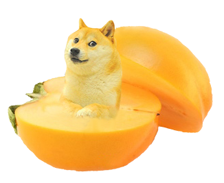 Kakifrucht